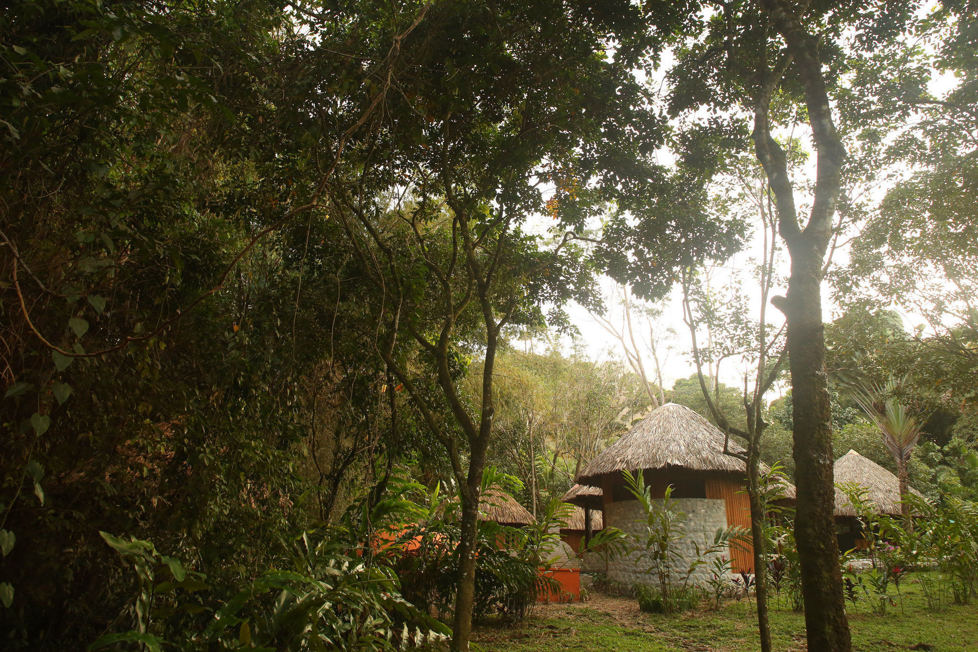 The Lodge & Spa At Pico Bonito El Pino 외부 사진