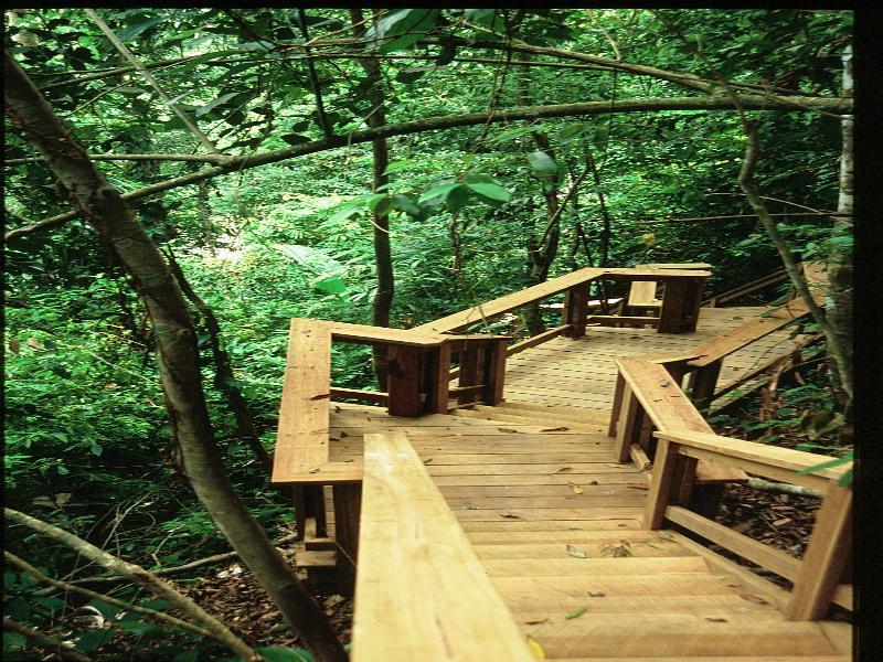 The Lodge & Spa At Pico Bonito El Pino 외부 사진